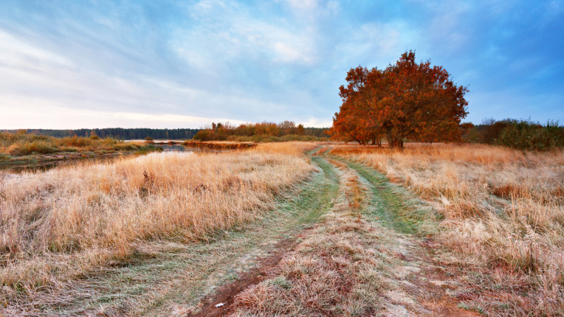 Фото:depositphotos.com