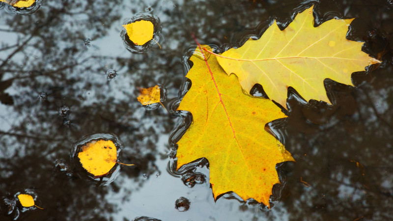 Фото:depositphotos.com