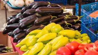 Тотальное импортозамещение не нужно - Токаев