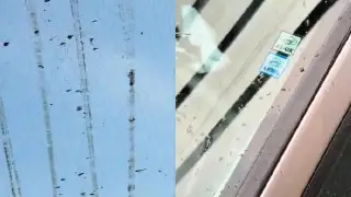 Водители жалуются на странные следы после дождя в Алматы