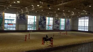 Ипподром в Астане продали за 200 тысяч, а затем купили другой за 7 миллиардов – депутат