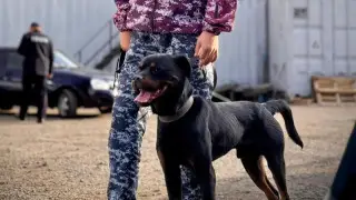 В столице пункты выдачи маркетплейсов проверили на сбыт наркотиков  