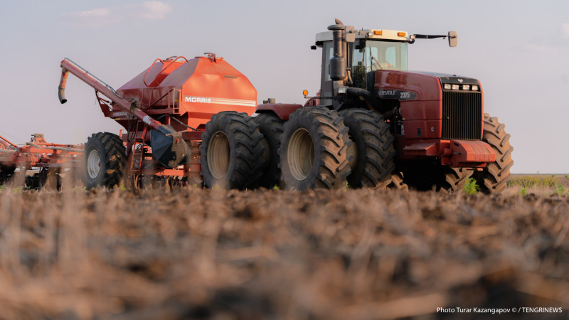 Фото ©️ Турар Казангапов