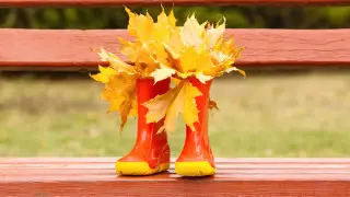 Дождь, гроза, ветер: какой будет погода в Казахстане 22 сентября