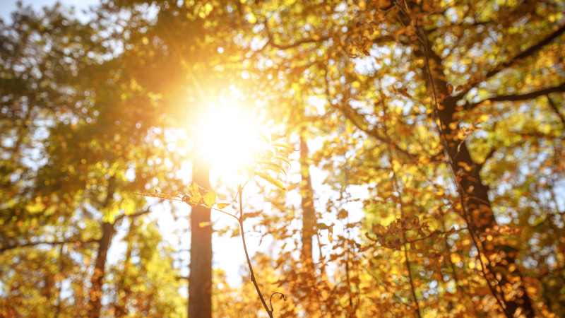 Фото:depositphotos.com