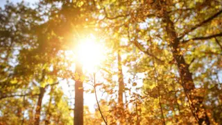 Тепло вернется в Казахстан