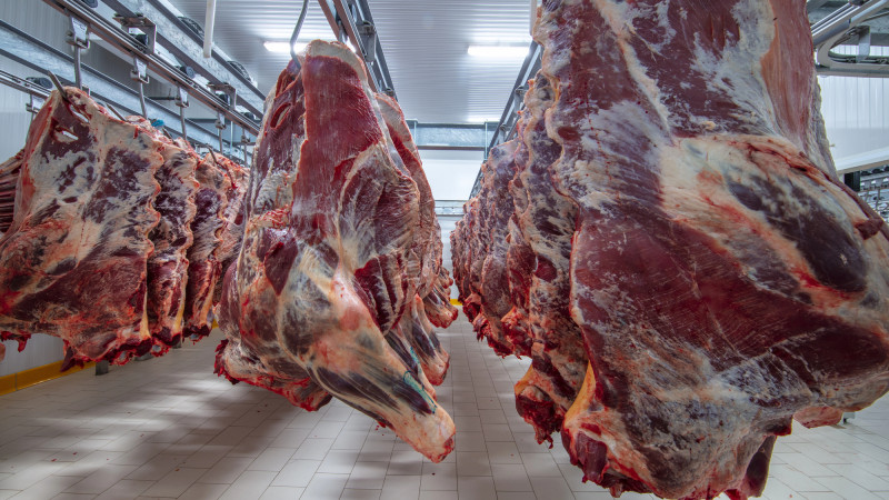 Фото:depositphotos.com