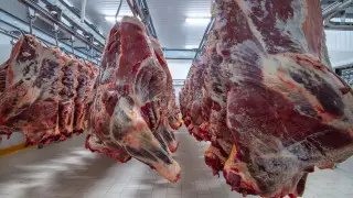 Горячая линия по вопросам говядины открылась в Казахстане