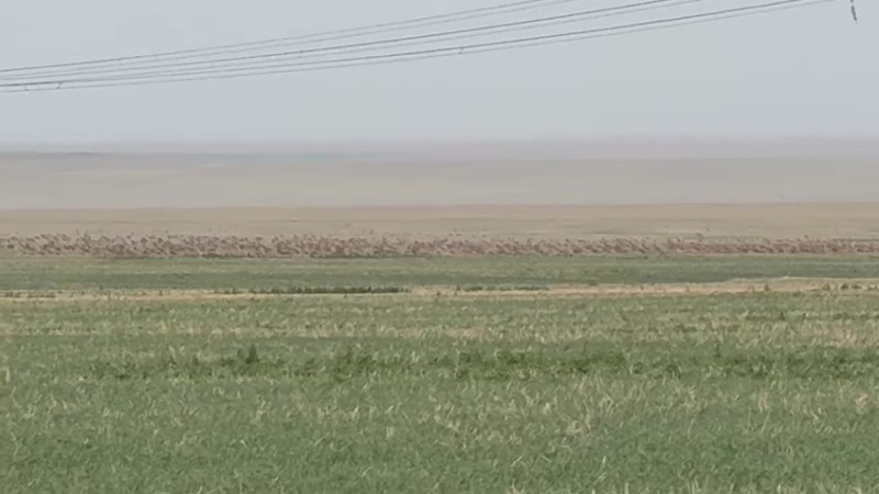 Кадр из видео