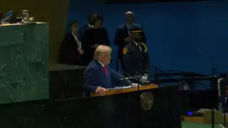 Трамп заявил, что страны Европы “катятся в ад“