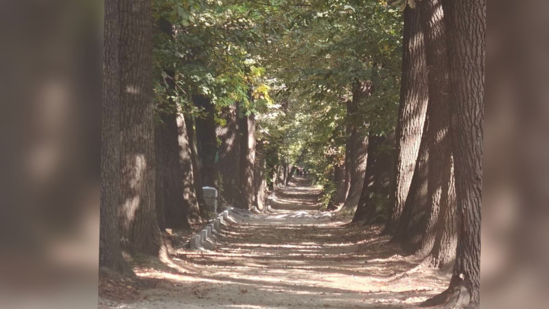 Фото из Threads @vlvd_02