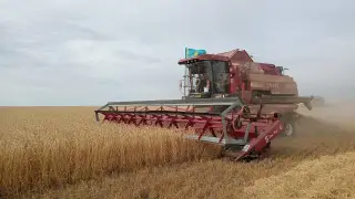 В Акмолинской области подводят итоги сбора урожая
