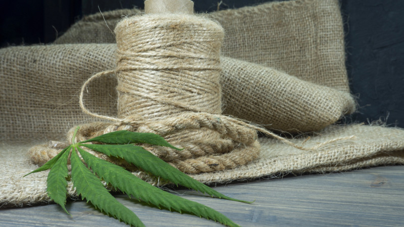 Фото:depositphotos.com