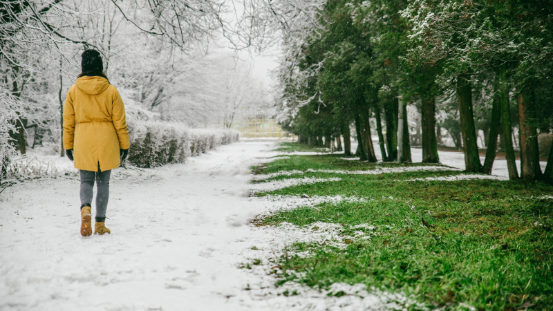 :depositphotos.com
