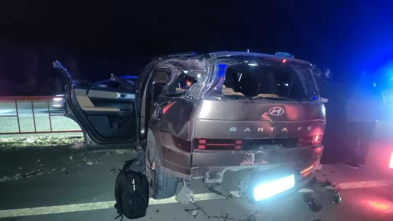 Фото: ДП Акмолинской области