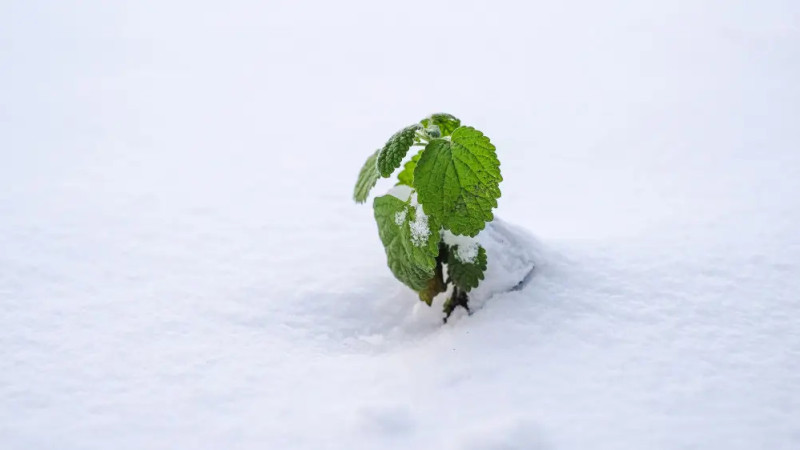 :depositphotos.com