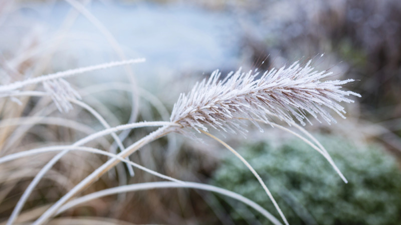 Әдемі пискаларды көрсететін онлайн порно видеолар