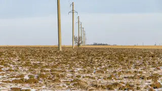 Заморозки и опасность пожаров: в 17 областях объявлено штормовое предупреждение