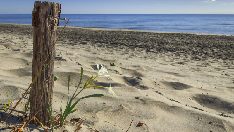 Фото:depositphotos.com