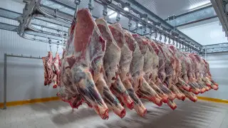 Себестоимость говядины – 2000 тенге? Почему мясо стоит дорого и как его пытаются удешевить