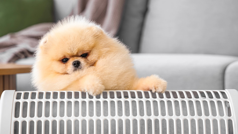 :depositphotos.com