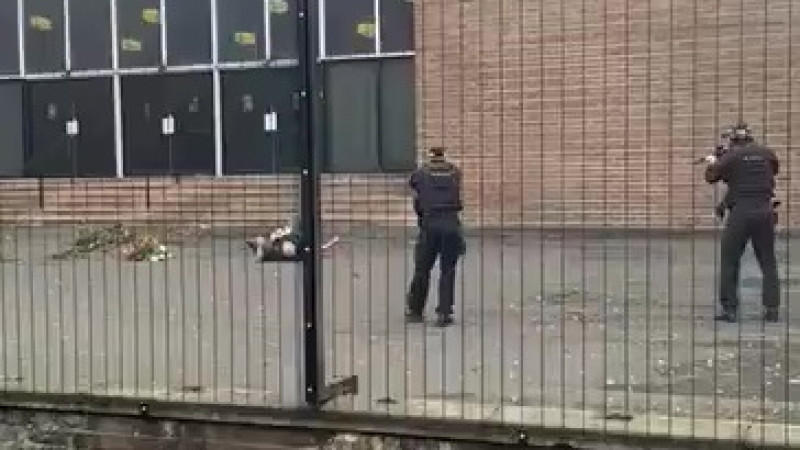 Кадр из видео