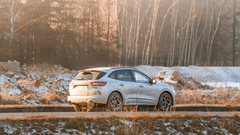 Фото:depositphotos.com/kle1njke@gmail.com