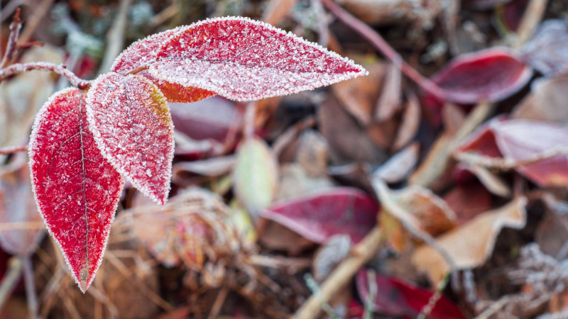 Фото:depositphotos.com