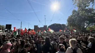 Миллионы людей вышли на пропалестинские митинги по всей Европе