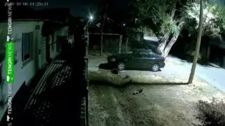 Паника и качающиеся люстры: казахстанцы публикуют видео ночного землетрясения