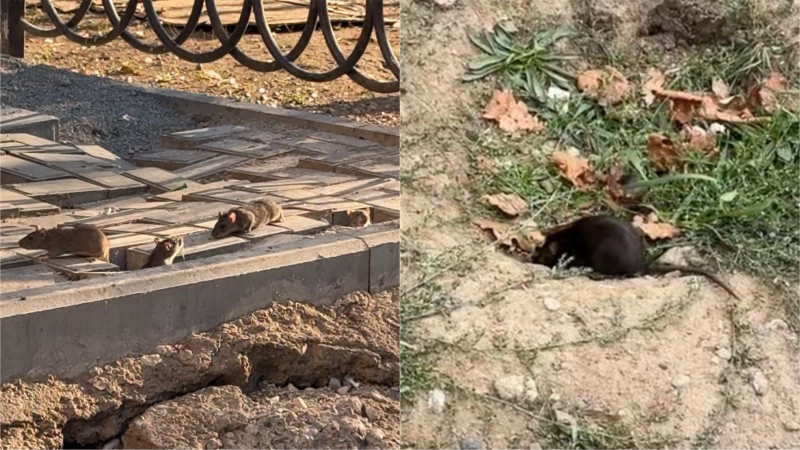 Кадры из видео