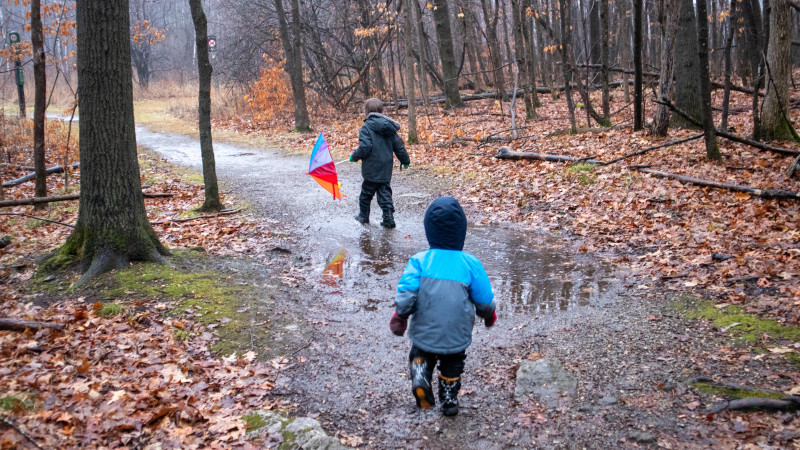 Фото:depositphotos.com