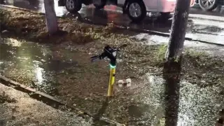 Миллиарды утекли по арыкам: сколько в Алматы потратили на борьбу с потопами