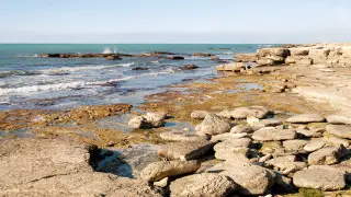 Обмеление Каспия: Токаев обратился к тюркским государствам