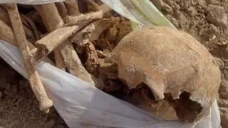 Жуткую находку сделали рабочие в Шымкенте