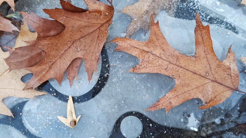 Фото ©️ Tengrinews.kz / Турар Казангапов