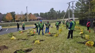 Более 30 тысяч жителей Акмолинской области приняли участие в субботнике