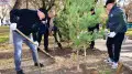 В Карагандинской области посадили 10 тысяч деревьев
