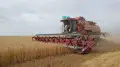 В Акмолинской области собрали рекордный за последние 10 лет урожай зерна
