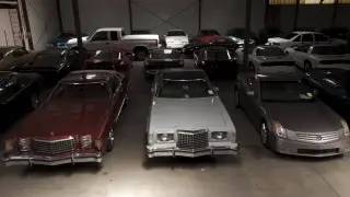 Крупнейшую частную коллекцию авто обнаружили в США