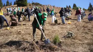 В Иле-Алатауском нацпарке стартовал новый этап проекта “Halyk орманы“