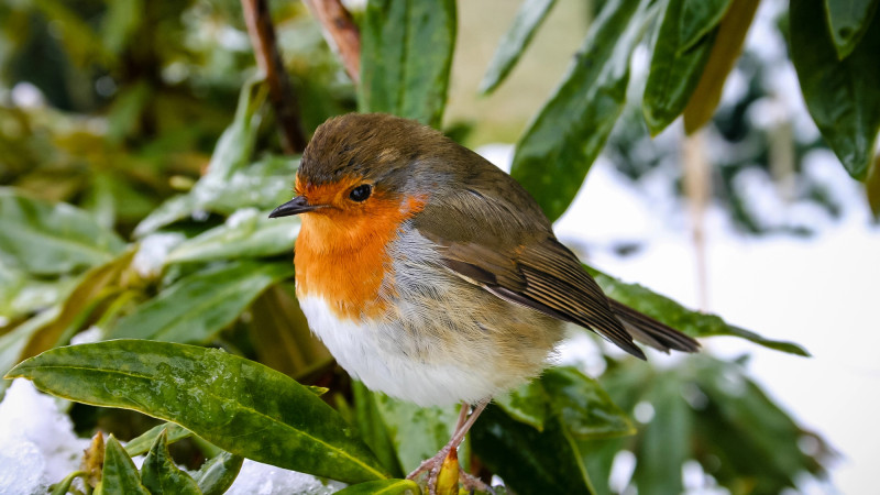 Фото:depositphotos.com