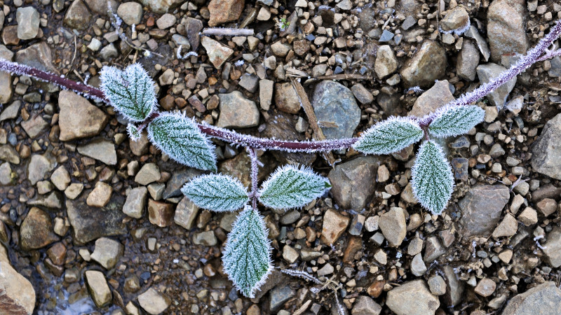 Фото:depositphotos.com