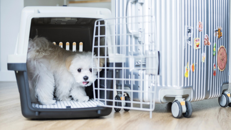 Фото:depositphotos.com