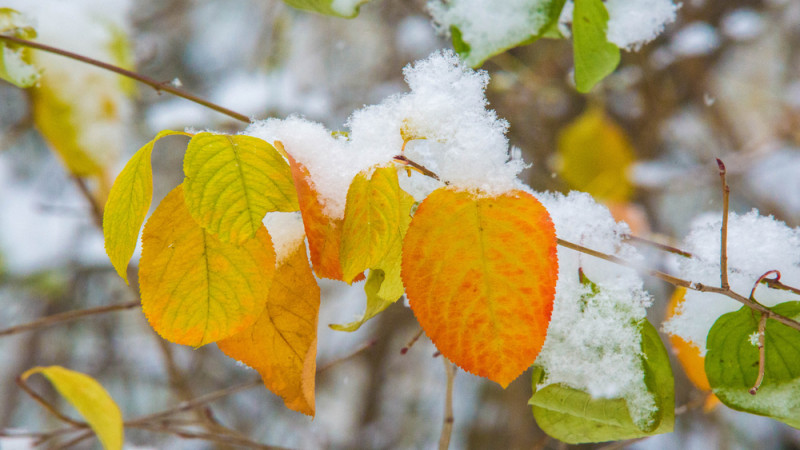 Фото:depositphotos.com