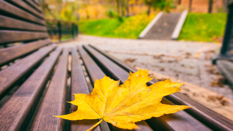 Фото:depositphotos.com