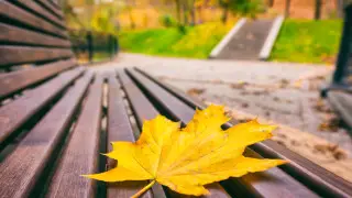 Опасность пожаров, сильный ветер: в 12 областях страны объявлено штормовое предупреждение