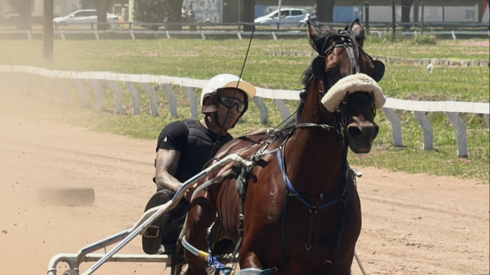 Фото: instagram.com/charlesdobronxs