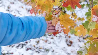 Холод спустится к земле: синоптики рассказали о “выхолаживании“ в Казахстане