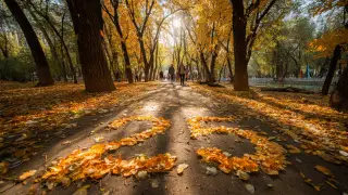 Длинные выходные ждут казахстанцев в октябре 2025 года